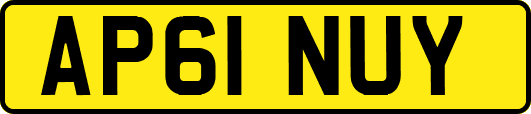 AP61NUY