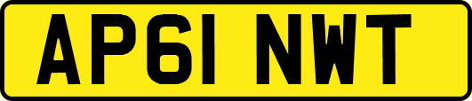 AP61NWT