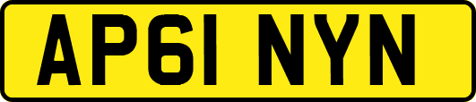 AP61NYN