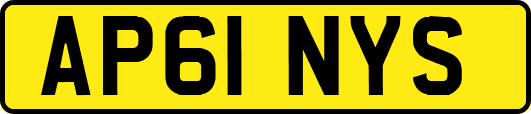 AP61NYS