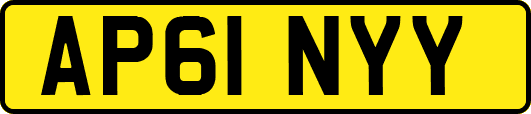 AP61NYY