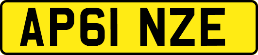 AP61NZE