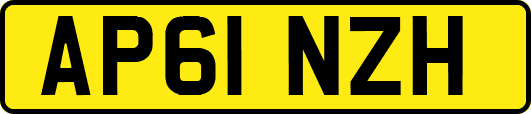 AP61NZH
