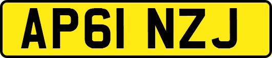 AP61NZJ
