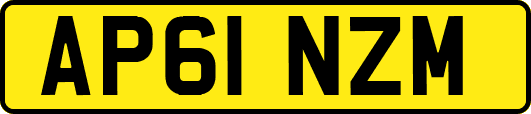AP61NZM