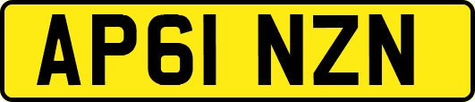 AP61NZN