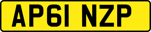 AP61NZP