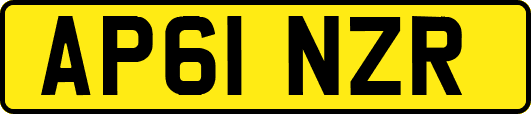 AP61NZR