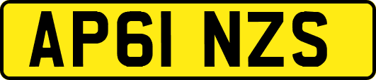 AP61NZS