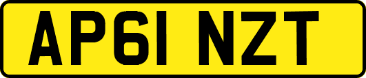 AP61NZT