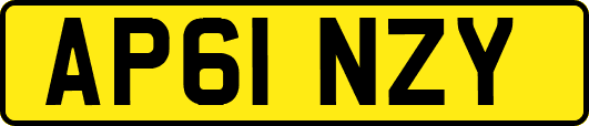 AP61NZY