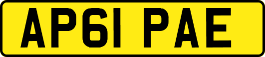 AP61PAE