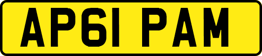 AP61PAM