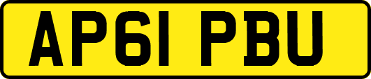 AP61PBU