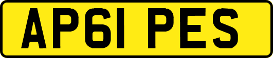 AP61PES