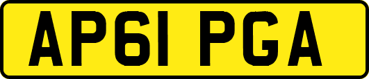 AP61PGA