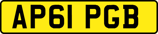 AP61PGB