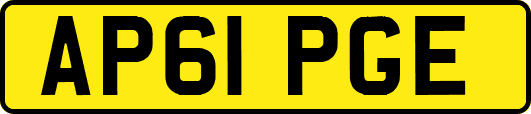 AP61PGE