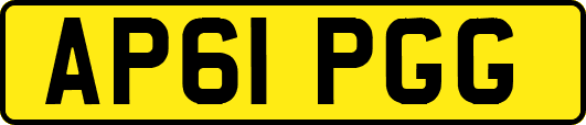 AP61PGG