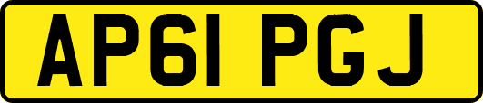 AP61PGJ