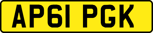 AP61PGK