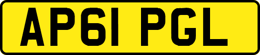 AP61PGL