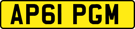 AP61PGM
