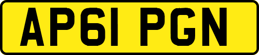 AP61PGN