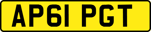 AP61PGT