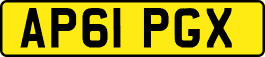 AP61PGX