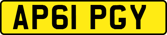 AP61PGY