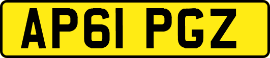 AP61PGZ