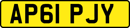 AP61PJY