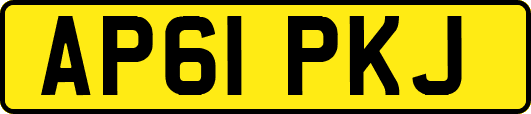 AP61PKJ