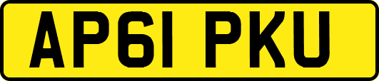 AP61PKU