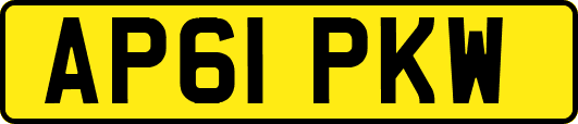 AP61PKW