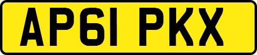 AP61PKX