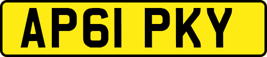 AP61PKY