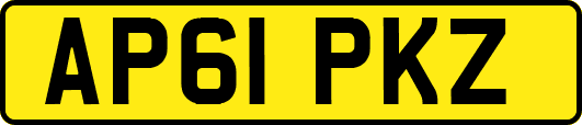 AP61PKZ
