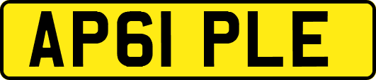 AP61PLE