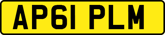 AP61PLM
