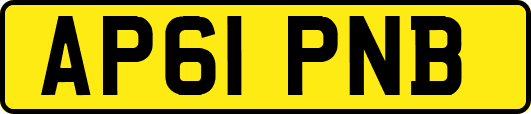 AP61PNB