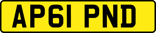 AP61PND