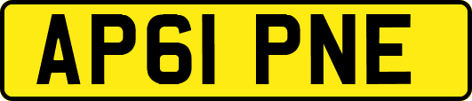 AP61PNE