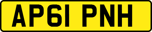 AP61PNH