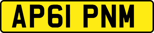AP61PNM