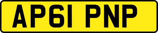 AP61PNP