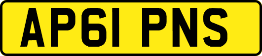 AP61PNS