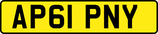AP61PNY