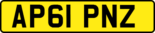 AP61PNZ
